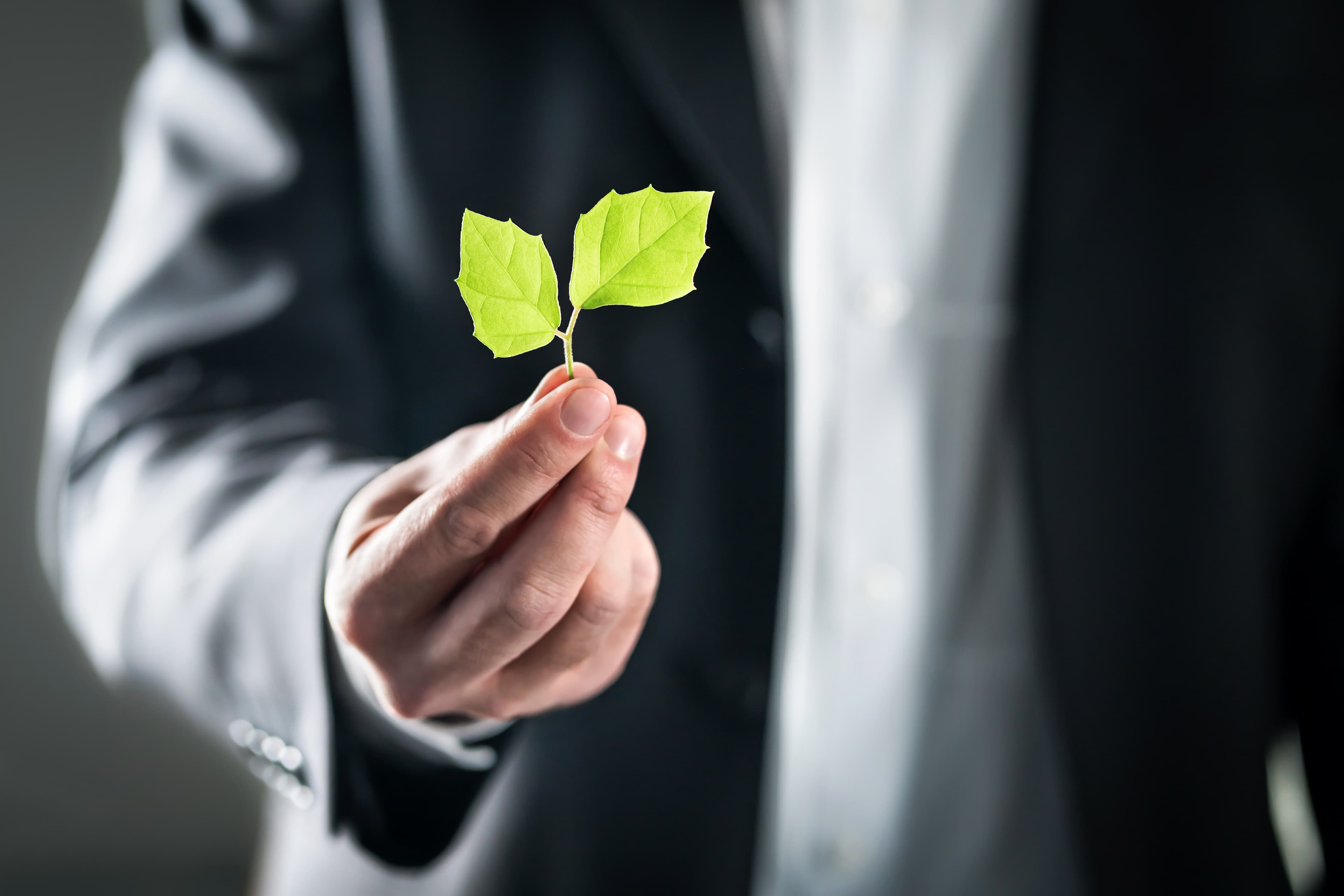 Eco friendly environmental lawyer or business man. Sustainable development, climate change, ecology and carbon footprint concept. Environment, energy or conservation laws. Global pollution crisis.