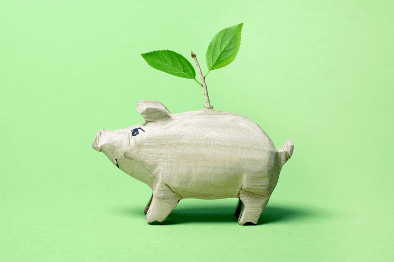 Wooden piggy bank with little plant on green background.