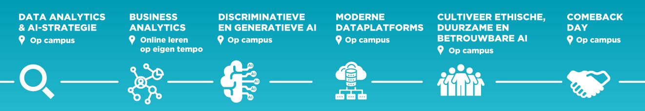 Visual Creating Business Value with AI and Big Data DU desktop