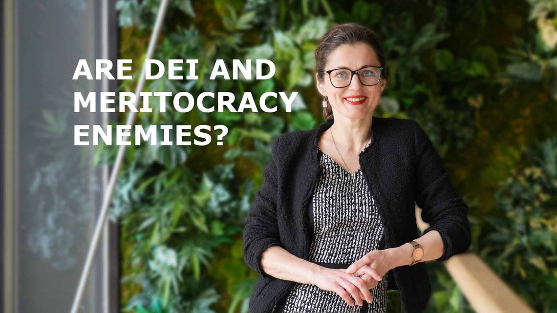 Video still - DEI and meritocracy