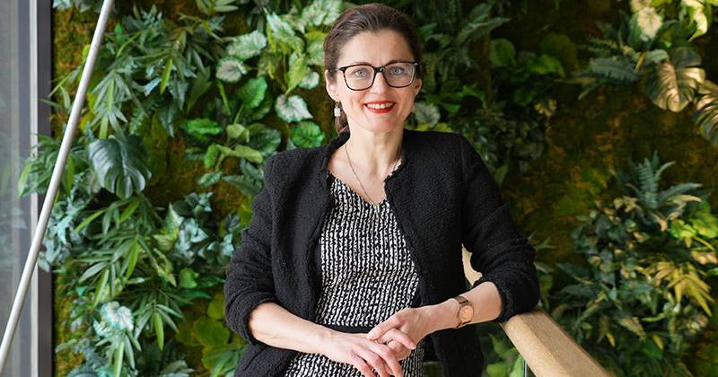 web-insights-meritocracy-dei-andreea-gorbatai