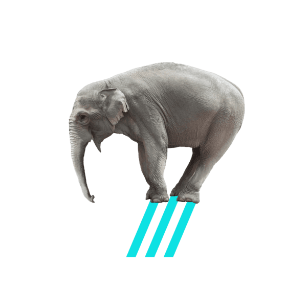 211012_Vlerick_ICONS_Elephant