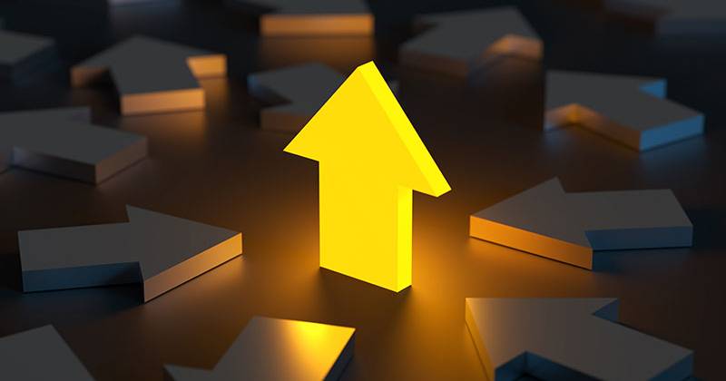 web-insights-policy-stimulate-scaleups-veroniek