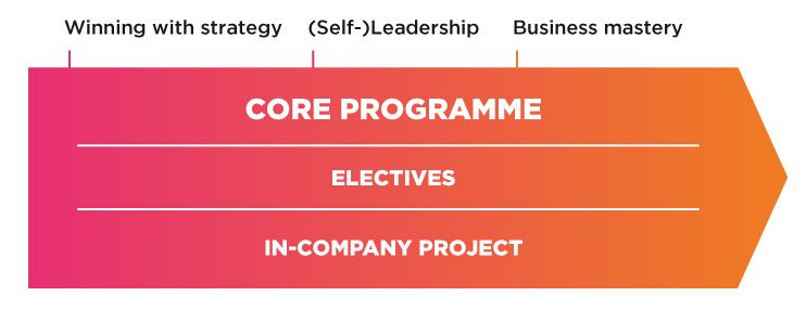 Visual Executive Development Programme EN desktop