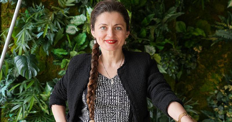 web-insights-glass-cliff-andreea-gorbatai