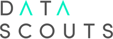 Data Scouts logo