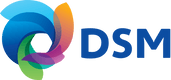 DSM logo