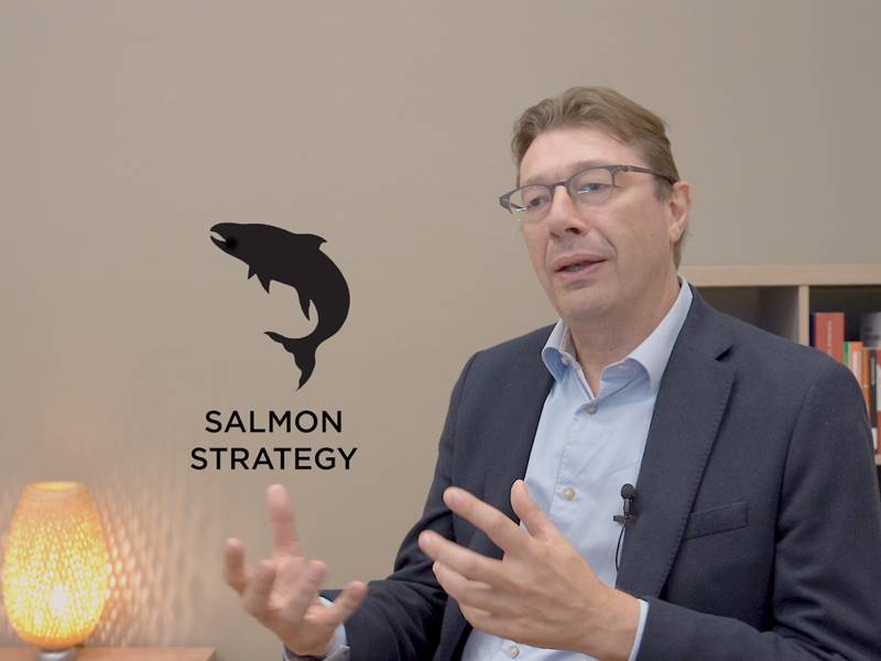 Thumbnail video series Strategy in Turbulent Times