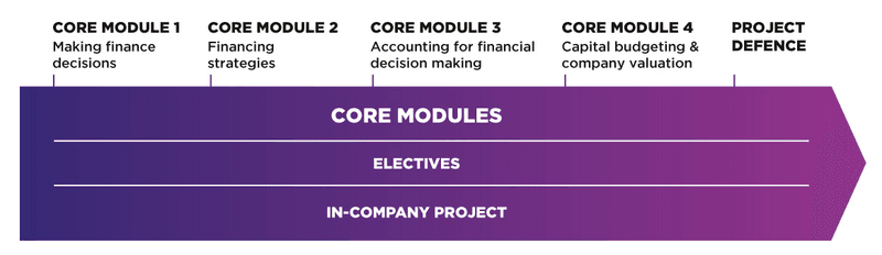 Visual Executive Master Class in Corporate Finance EN desktop